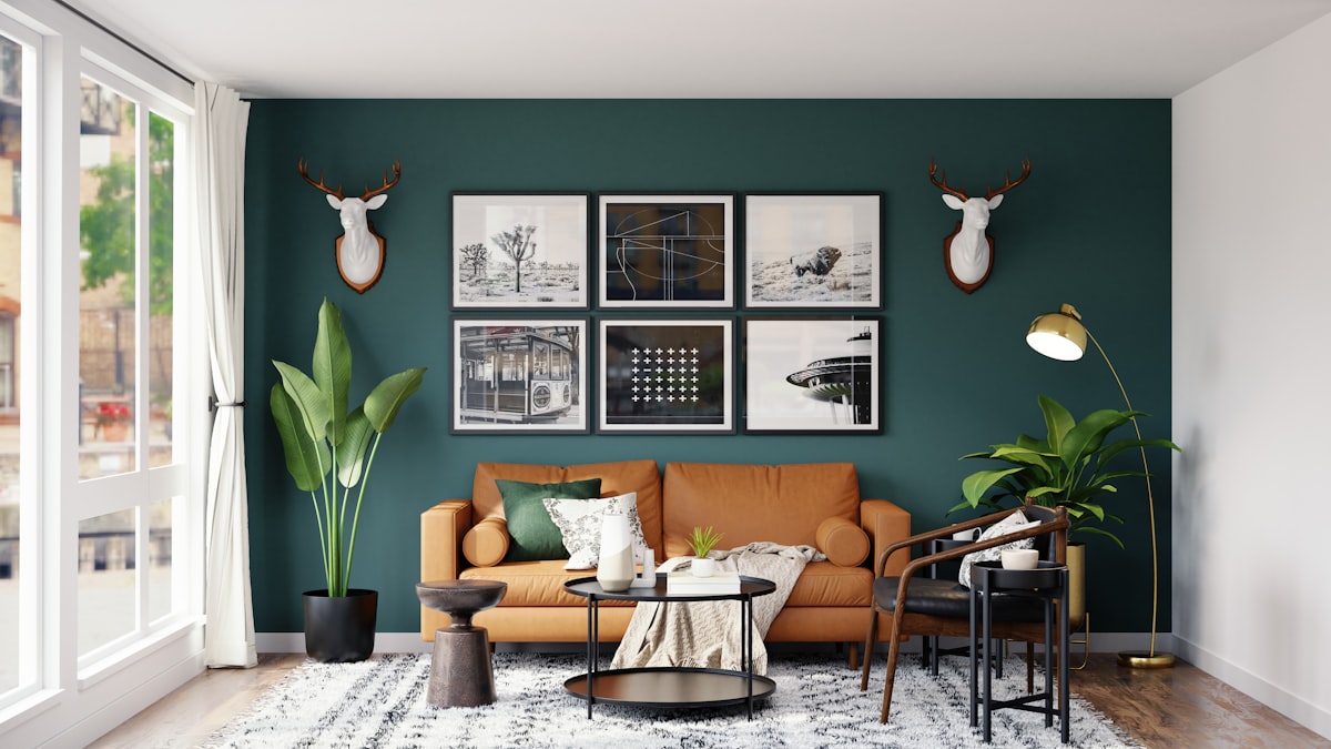 Murals & Feature Walls