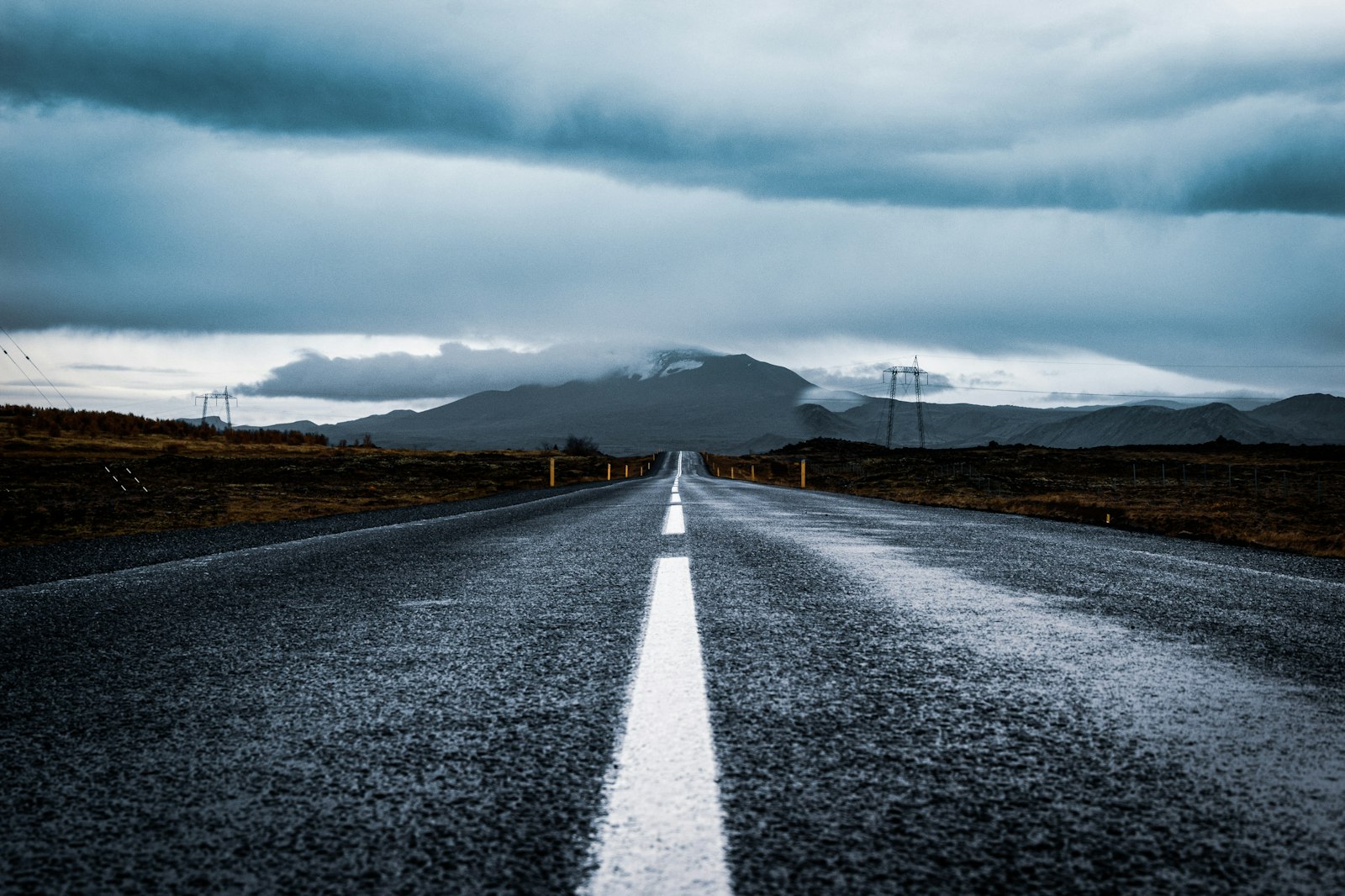 Veteran oak crown reduction