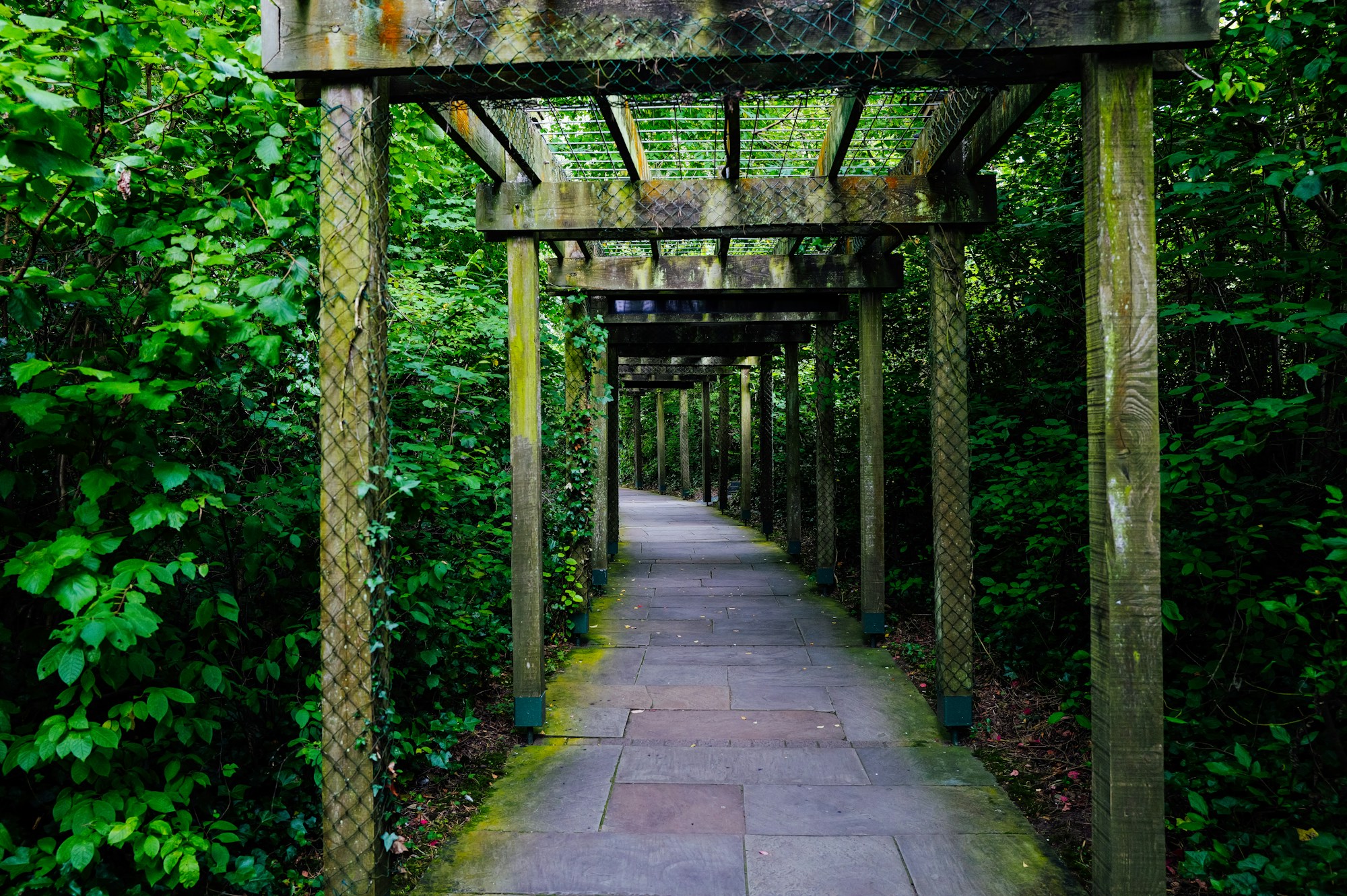 Pergola Walk