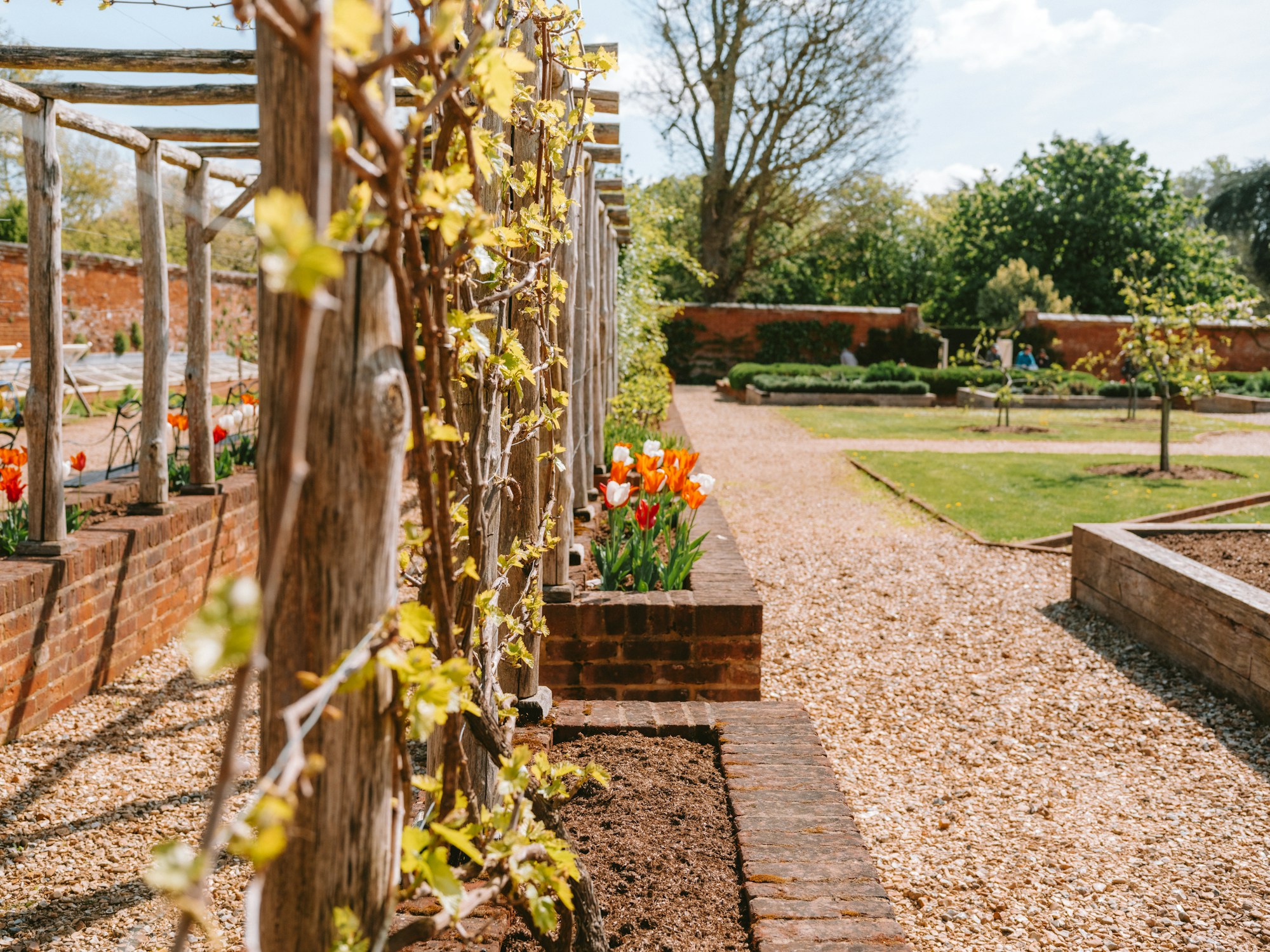 Stone & Gravel Garden