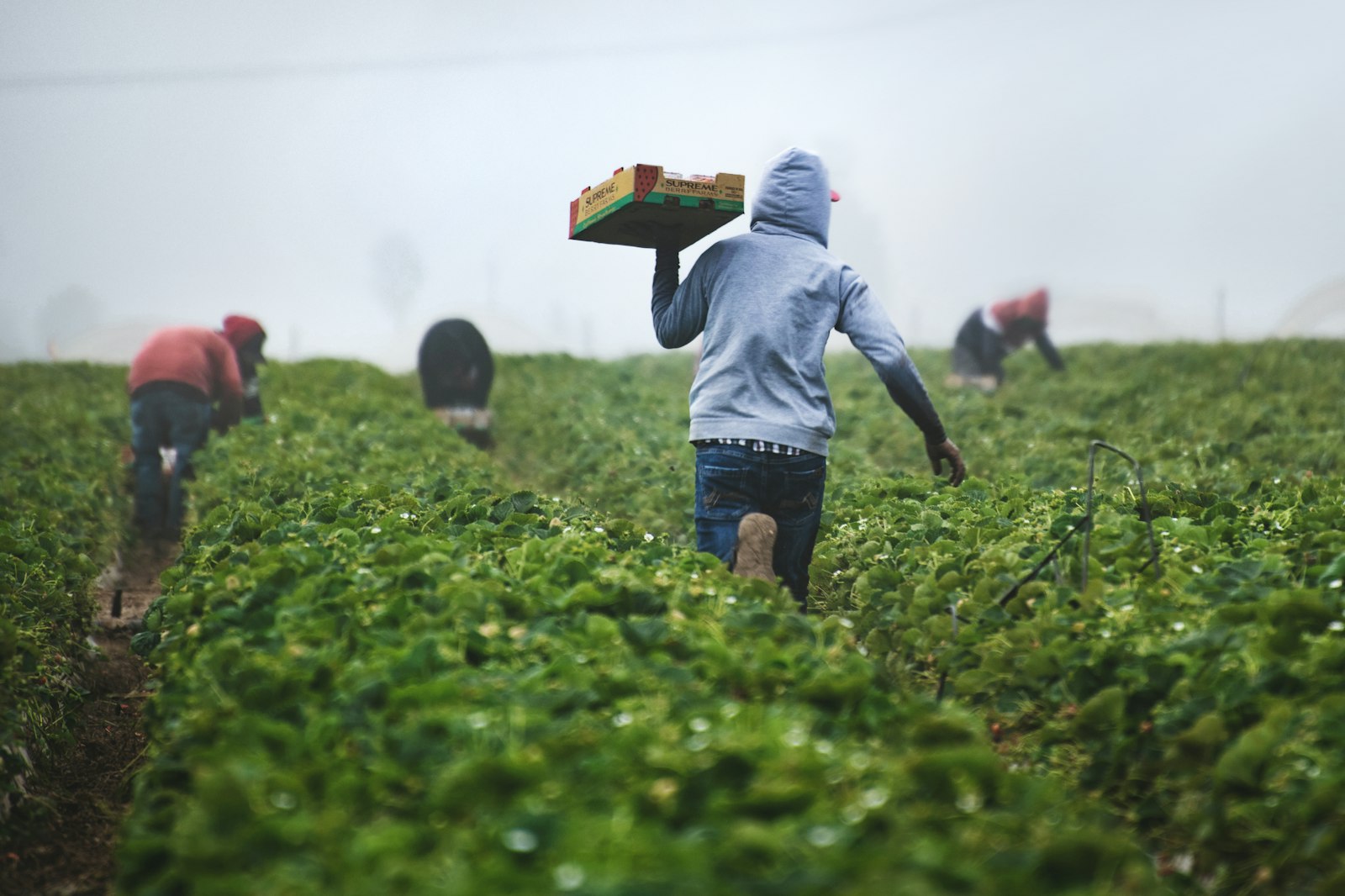 All Saints', Pavement — Conservation of medieval roundels
